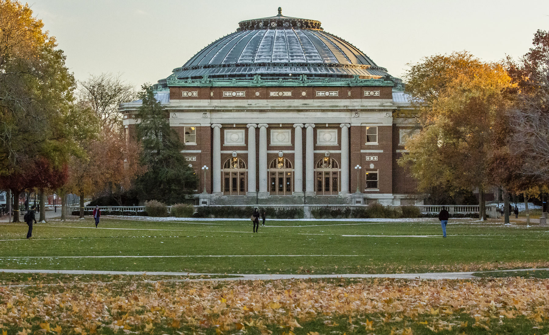 Quad with leaves